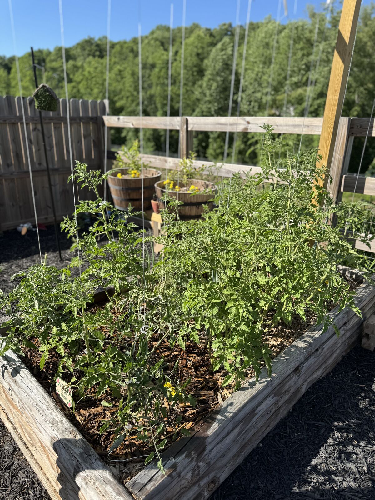 Our raised garden beds in Jasper, GA